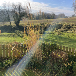 Terrasse | Garten | ruhiger Blick - reserviert